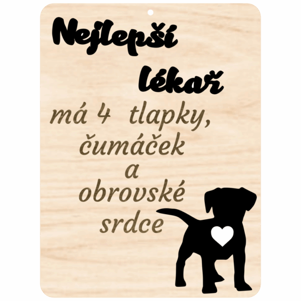 Cedulka s citátem – Nejlepší lékař
