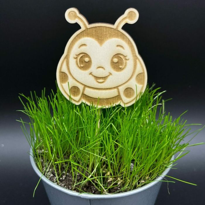 Zápich do truhlíku – Beruška Zápich do truhlíku – Beruška