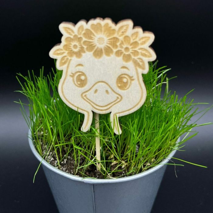 Zápich do truhlíku – Husa Zápich do truhlíku – Husa