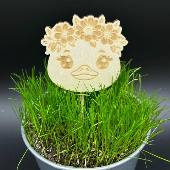 Zápich do truhlíku – Kačenka Zápich do truhlíku – Kačenka