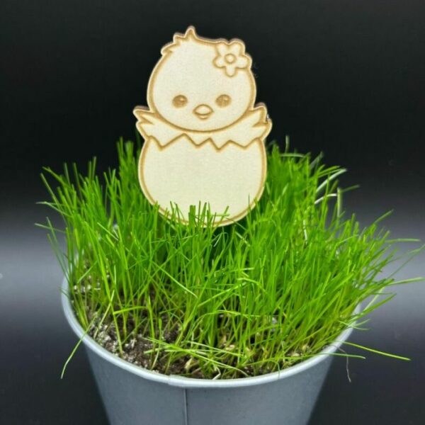 Zápich do truhlíku – Kuřátko