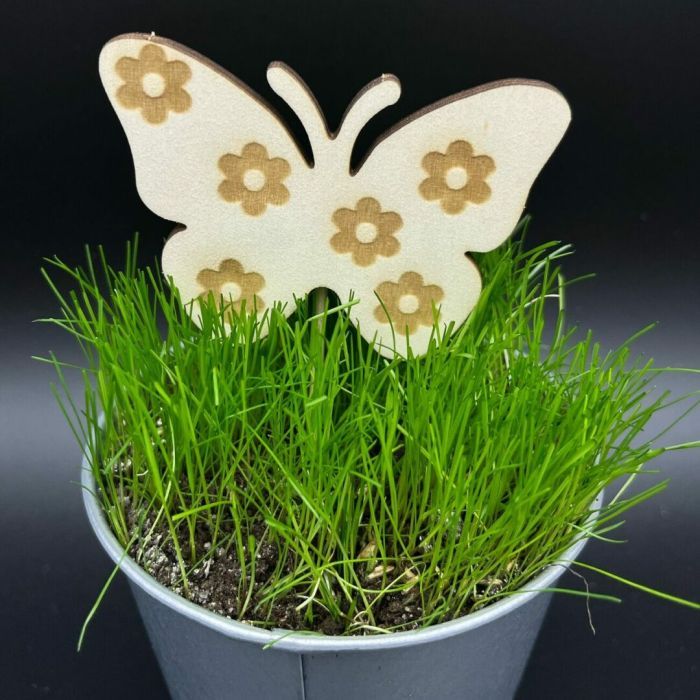 Zápich do truhlíku – Motýl Zápich do truhlíku – Motýl