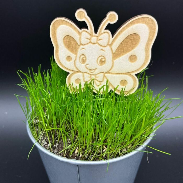 Zápich do truhlíku – Motýl s mašlí Zápich do truhlíku – Motýl s mašlí