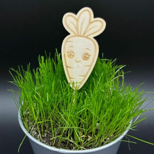 Zápich do truhlíku – Mrkvička