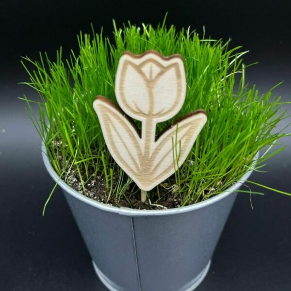 Zápich do truhlíku – Tulipán