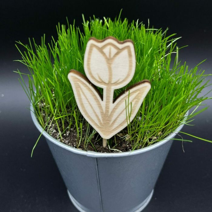 Zápich do truhlíku – Tulipán Zápich do truhlíku – Tulipán