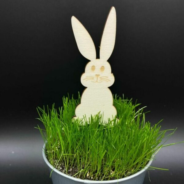 Zápich do truhlíku – Zajíček