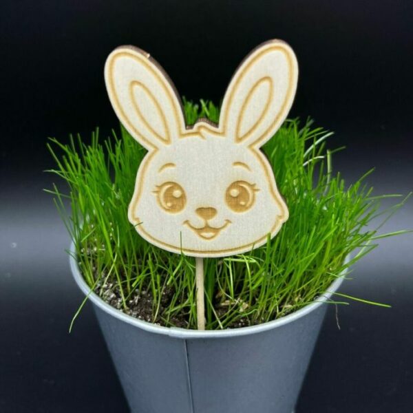 Zápich do truhlíku – Zajíček